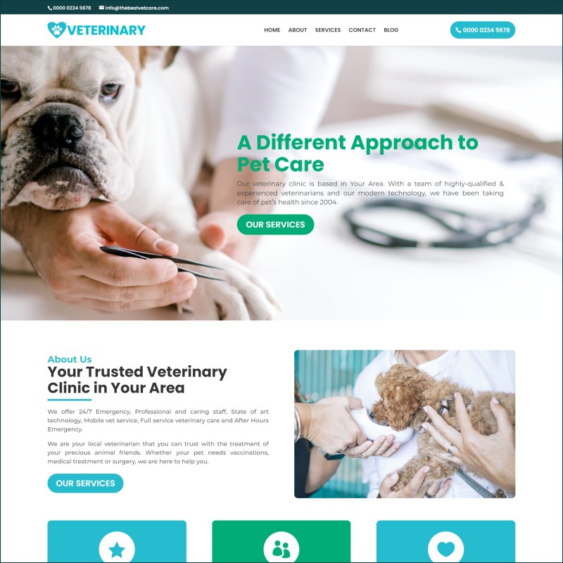 Free Veterinary Website With Hosting